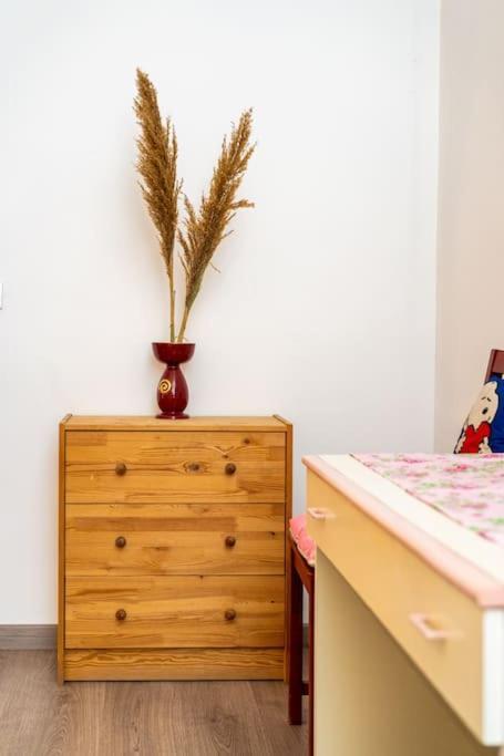 Guesthouse Pet'S Friendly Quattromiglio 外观 照片